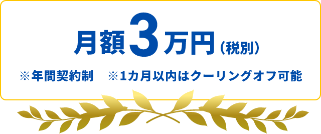 月額3万円（税別）※年間契約制